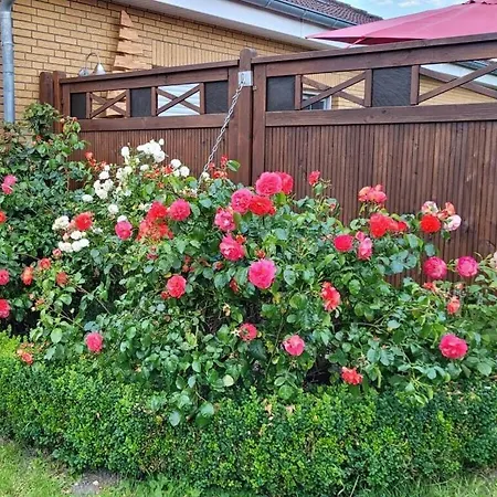 Holiday home Ostfriesland To Huus Hinte